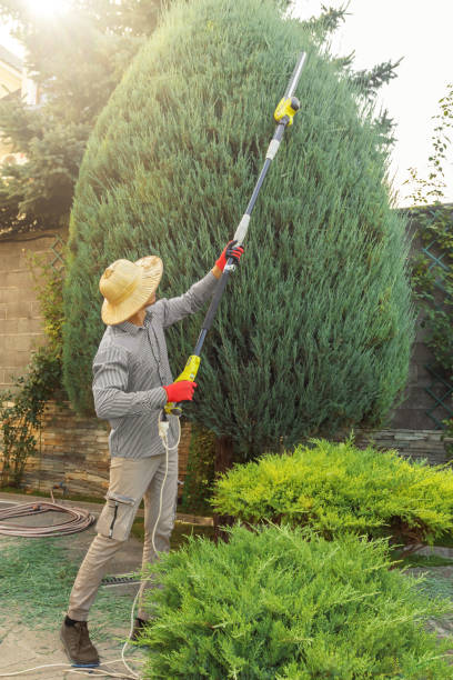 Lawn Watering Services in Galax, VA